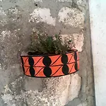 Karmela Grebaštica